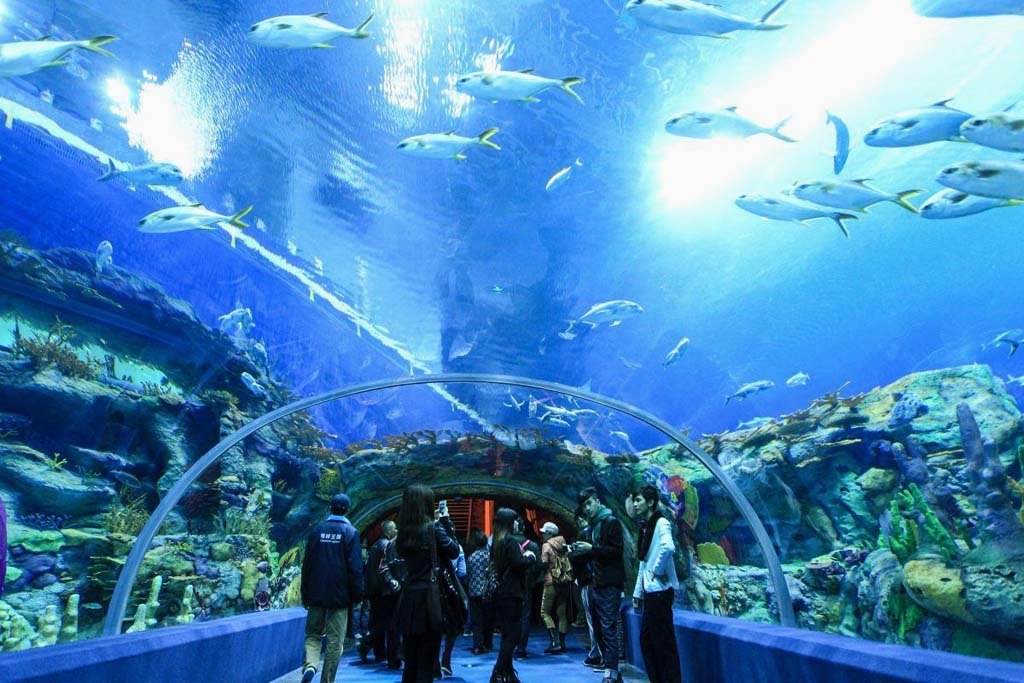 Aquariums 