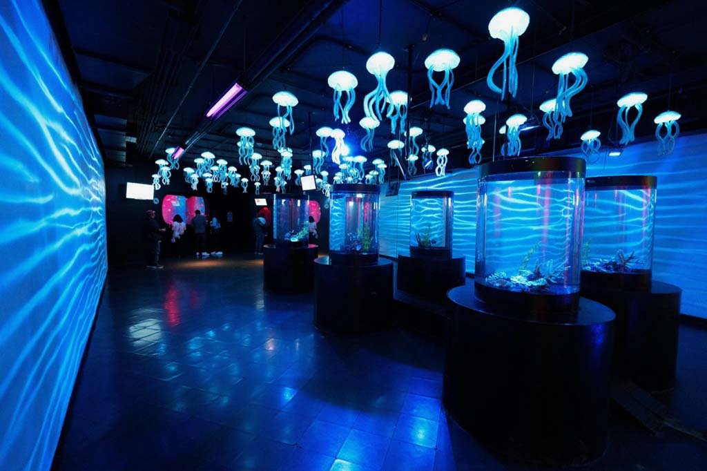Aquariums 