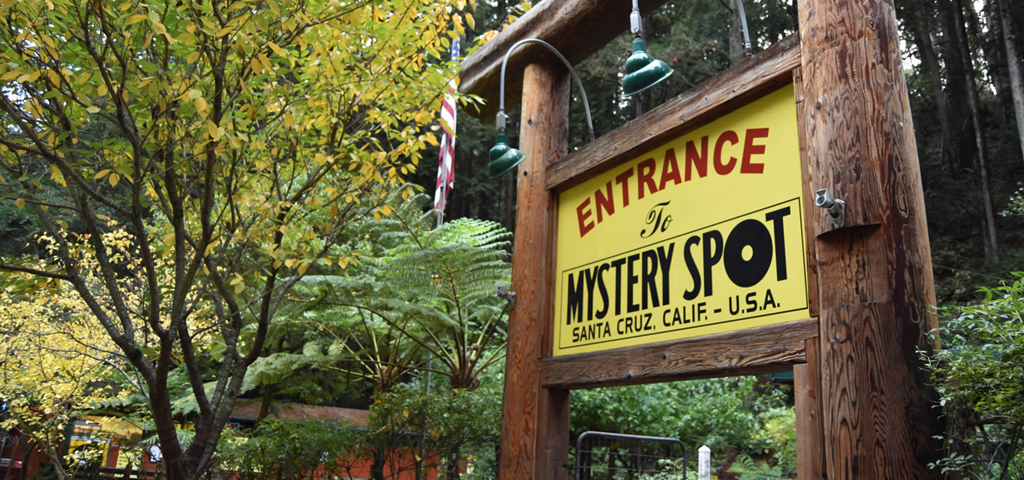 The Mystery Spot