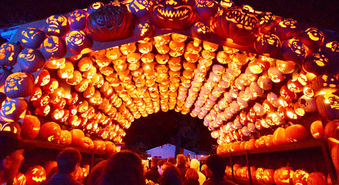 festival celebrations