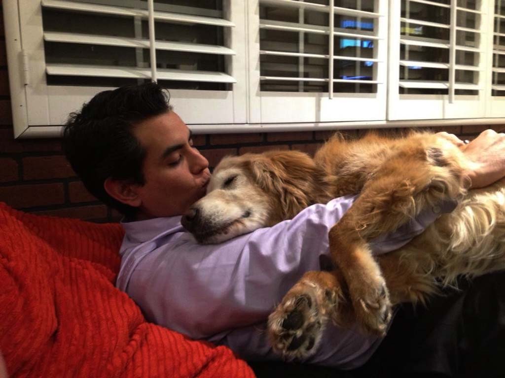 dogs