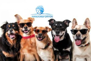 Dogs